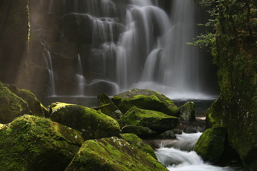 Moss covered Waterfall (by AJ Brustein)