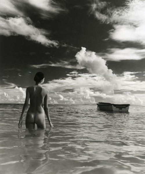 roadrunner73w340: the-nauti-life: Nauti.org: Life is Better Where it’s Wetter… (via ero
