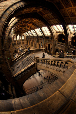 Natural History Museum in London