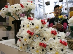 hellowhore:  bbynix:  whoadanggianna:  ashleydomingo:  mrsbooj:  kheprianna:  -jasmineblu-:  OMGGGG DHFSLKFHSLFSHD!!!!!!!   THESE are the type flowers i want at my wedding [:     i’d fall in love with you.  OMG. LOL, fuck engagement rings. if you use