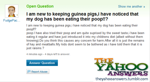 theyahooanswers:  Submitted by sunshinecruise 