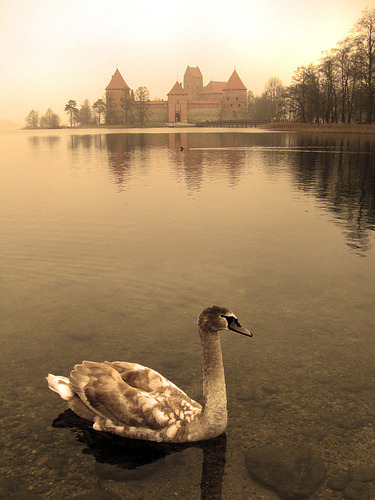 Trakai Castle (by nadia_the_witch)