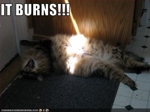 demon-of-the-fall:  justanothersara:  (via worth-your-time, fuckyeahrandomstupidity)  reminds me of snuggles  omg it does!!