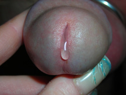 nivbaals:  manhooded:  yourgirlhannah:  Precum