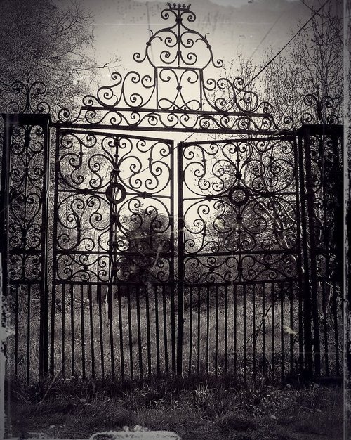 dreamingviolet:  decembered:  filledwithroses:  silent-musings:  museoftragedy: from-the-sky: