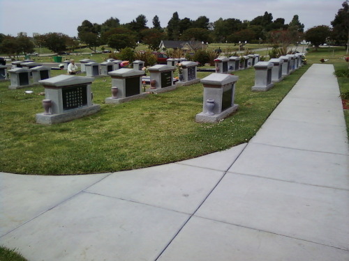 kaaaela:  khanhnghiem:  sillytraaacy:  thatswsuuup:  nesssm:  typeshit:  khryztynx:  indaheart:  brendaaax3:  sydn3y:  -chantruong:  This was at the cemetery. I was there for a few hours visiting my grandma. As I looked around, it was quite empty that