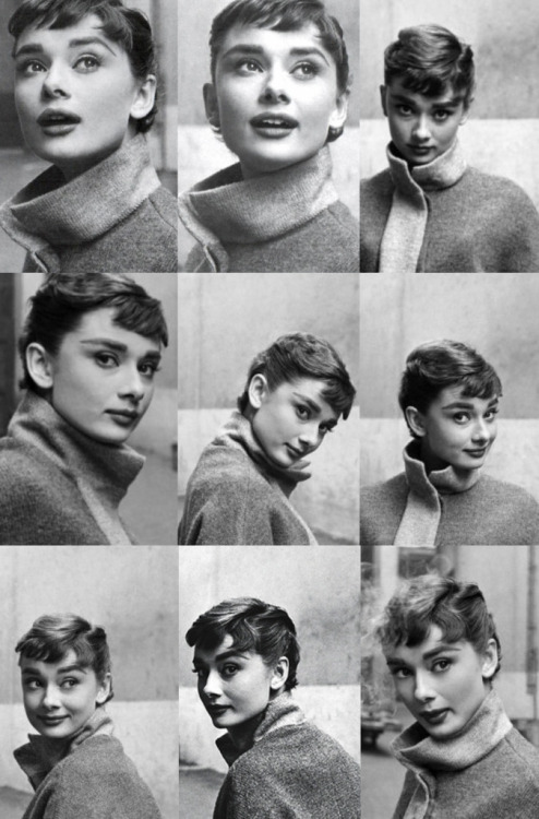 theindiehippie:vild:beingaudrey:(via harleylove)
