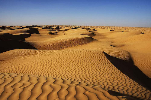Days in the Desert - Sahara, Tunisia © Elli-pixx
