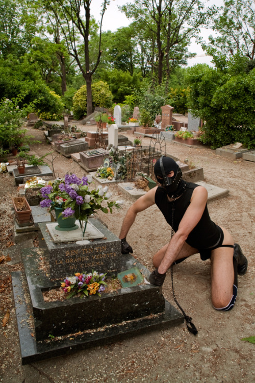 androphilia:  tomdepekin:  in memory of RINTINTIN “RinTinTin la grande vedette du cinema” http://en.wikipedia.org/wiki/Cimetière_des_Chiens   Devotion is LOVE…