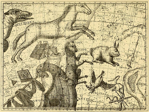 knockturn:  Constellations Australes (by the snail and the cyclops) 
