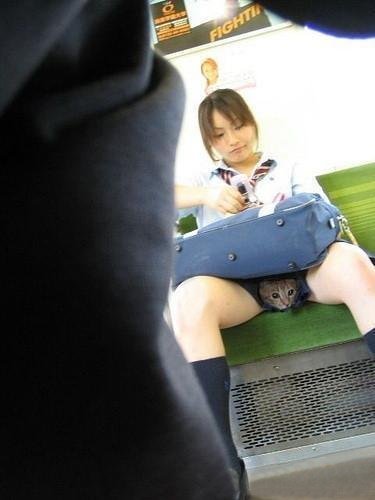 xxxelasetchbook:  oddpervert:  (via sanguinestrawberry)  (via oddpervert)(via xxxelasetchbook)