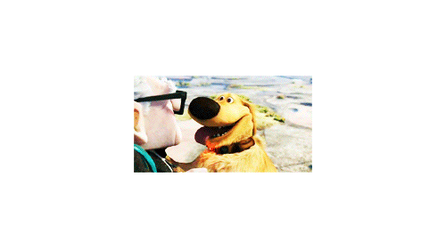 losemydignity:  acafellas:  cabrioles:  Day #6 | Your favorite animal (pt 1)- Dug;