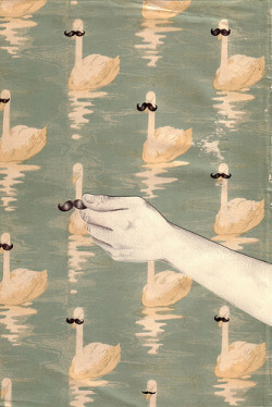 drownedriver:  thatgirlfaren:  dashedlines:    (by iiiinga)  I want wallpaper with swans with mustaches.  