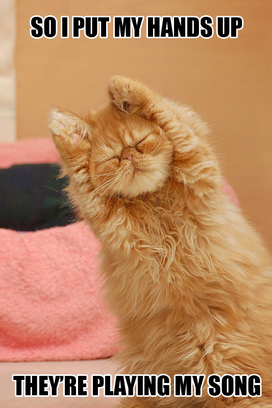 lindaamao:  denethsofly:  arifahistotallyawesome:  angelikwaah:  lol    LOL.  