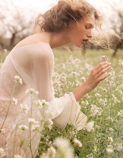 honeychurch:littlebirdys:(via the-devils-tear, misswallflower)