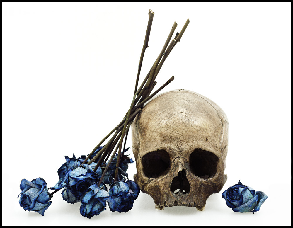 deepthinking:
“ Human skull, dried blue rose © David Bailey.
Bailey’s way - British Journal of Photography
”
Seen at the National Portrait Gallery, London.