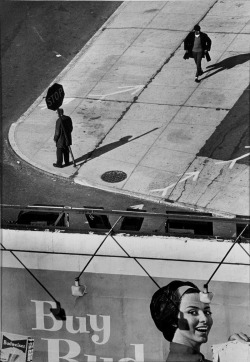 Long Island, NY photo by André Kertész, 1962
