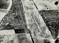 untitled photo by Mario Giacomelli, Presa di coscienza sulla natura series, 1964