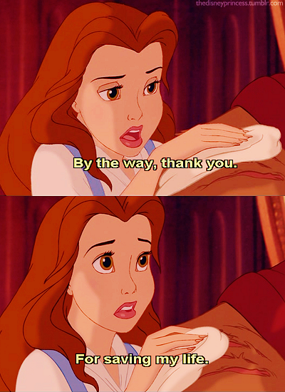 the disney princess