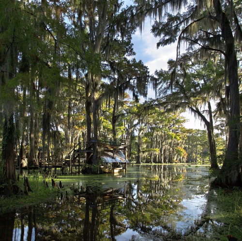 Boat Landing in Swamp - Uncertain, Texas © wirwuenschen
