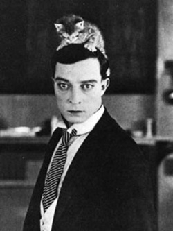 fuckyeahbusterkeaton:  celebritypussy:  buster