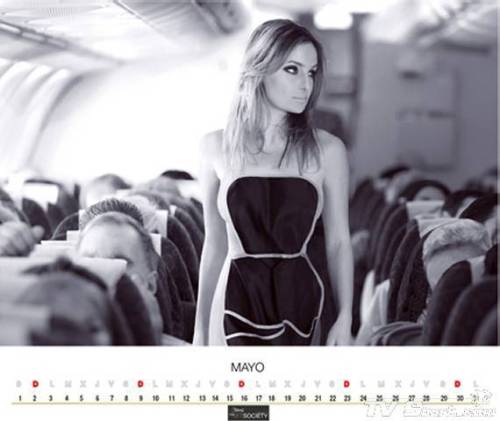 TV Shark - Flight Attendants Calendar Photos / Pictures Gallery - Photo 5