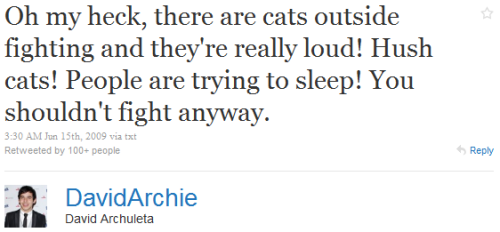 sunshinestrangers:  heckyeahdavidarchuleta:  Happy hushcatsaversary! It’s been a year since the immortal hush cats tweet!   IT’S BEEN A YEAR SINCE THE HUSH CAT-ING?  OH MY HECK.