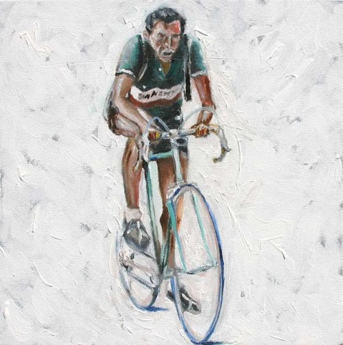 echanplus:  hm7:  La Gazzetta Della Bici: Scott from Velocast Cycling Paintings