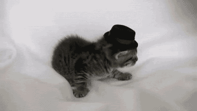 nerdinlove:  (via mmmmmmmmmmmmmmmmmmmmmmmmmmmmmmmm)  i&rsquo;m SO glad there&rsquo;s