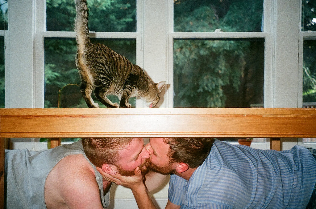 mreames:  (via sissydudeomen2) THIS IS MY BLOG SUMMED UP IN ONE IMAGE 