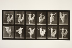 forestgraves:  fuckyeahvictorians:  turnofthecentury:  one more from the same series [I can’t resist not to post this one too;] Dancing [Fancy],1887  by Eadweard Muybridge via George Eastman House   