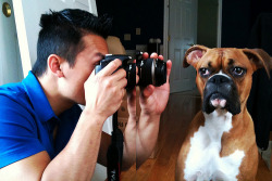 fuckyeahdogs:   heartbeatatmyfeet:   Paparazzi (by mikkers!)     I love how expressive these dogs are &lt;3