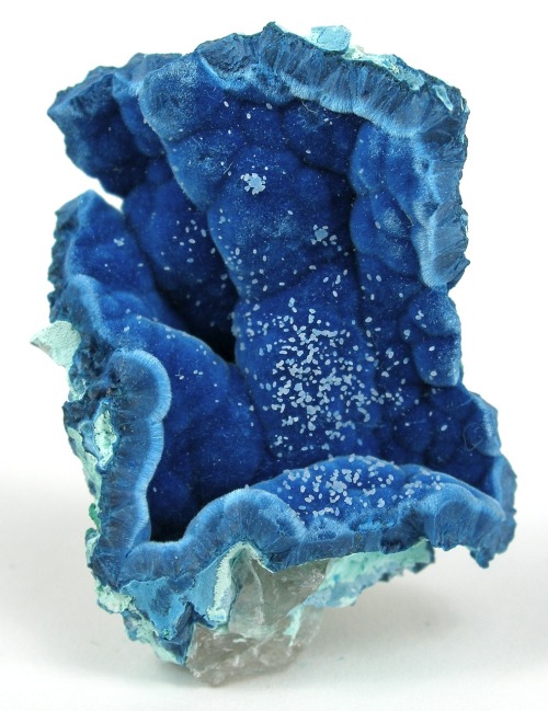 derangedbutterfly:   Shattuckite, Cu5[(OH)2|(SiO3)4]   (via fuckyeahmineralsandfossils)