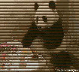 ohsnapitssabrina:  LMAO i love pandaaaas jawsdroppinjinny:  khayabby:  xmaria-krizelda: