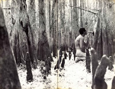 Porn photo (via androphilia)  Looks like dildo forest.