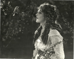 skeletonsdance:  phantomss:forestgraves:ilikeoldthings:    Mary Pickford    