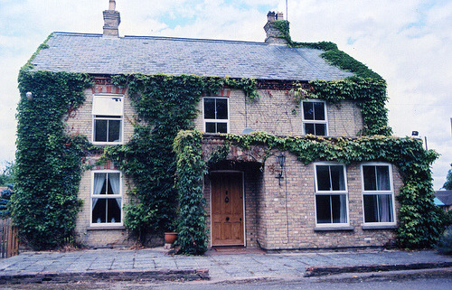 (via carouselinparis)