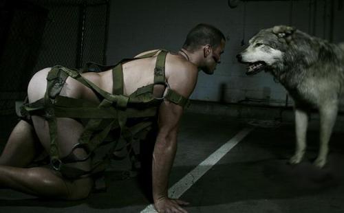 androphilia:  Who’s the Beast…?