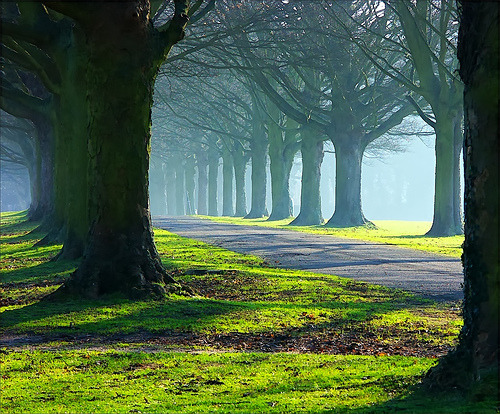 The Avenue in the Royal Air Force station of Halton, United Kingdom
© algo