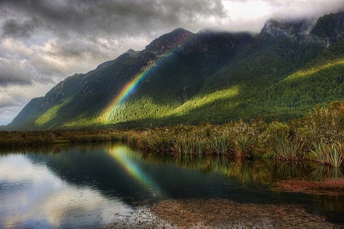 Deep in the South of New Zealand (by Stuck in Customs)