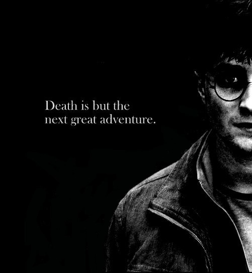 holymotherofhnng:  younopoo:  (via dumbledoreisabamf, lindseycathryn)  