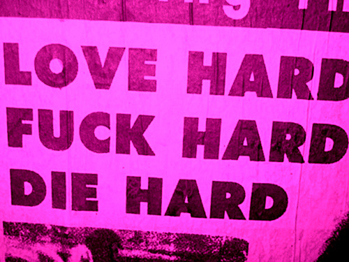 idance2trance:  edc-2011:  diirtyprettythingz:    (via badgirlsneedlovetooo)  