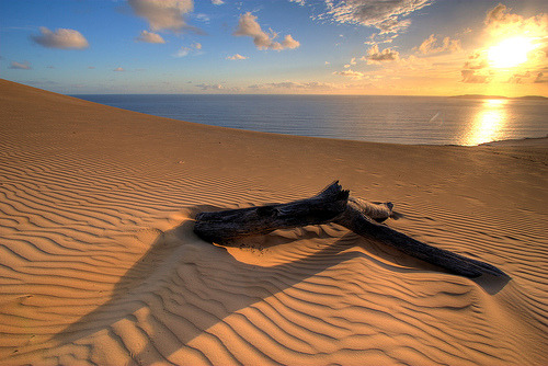 Desert meets the Sea - Rainbow Beach, Cooloola Nationalpark, Australia © Garry