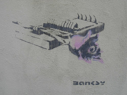 (via banksystreetart) It&rsquo;s A Trapp!