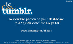 artgurliee:  luckybastrd:  Tip About Tumblr