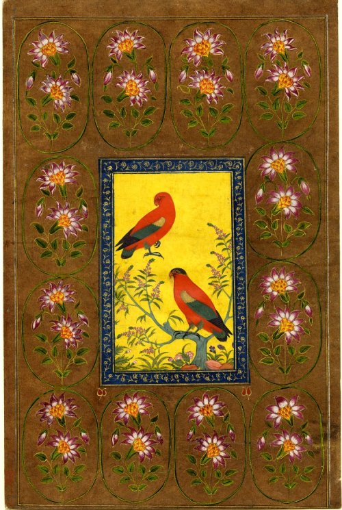 grimmcat: ottomanempire: Cockatoos and a flowering branch India, Mughal, early 18th century Opaque w