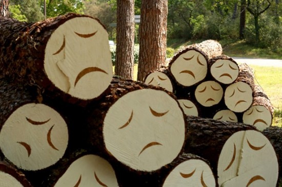 unbeknownstlove:  chickenshit:  holy-moly:  Sad trees.   
