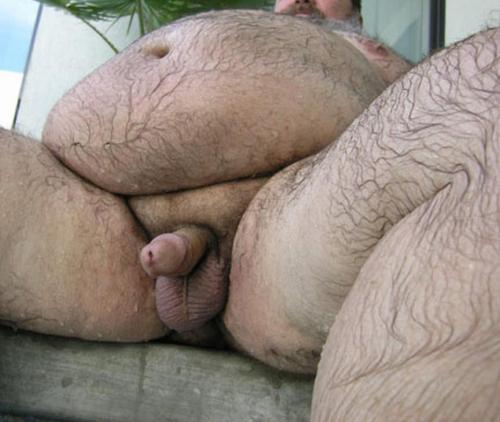 hand-free: tauruschaser: blackrhinobear: silverchublover: gorgeouschubbiesg-rated: bearbeau: santivi