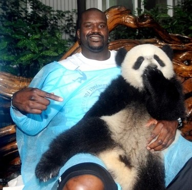 Best free agent left.
Brings rings and/or panda bear.
Teams: keep that in mind.