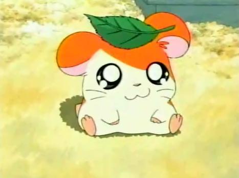 davidmotherfuckingjensen:  imjennifertran:  pialetecia:  kellytubby:  LOOK HOW CUTE